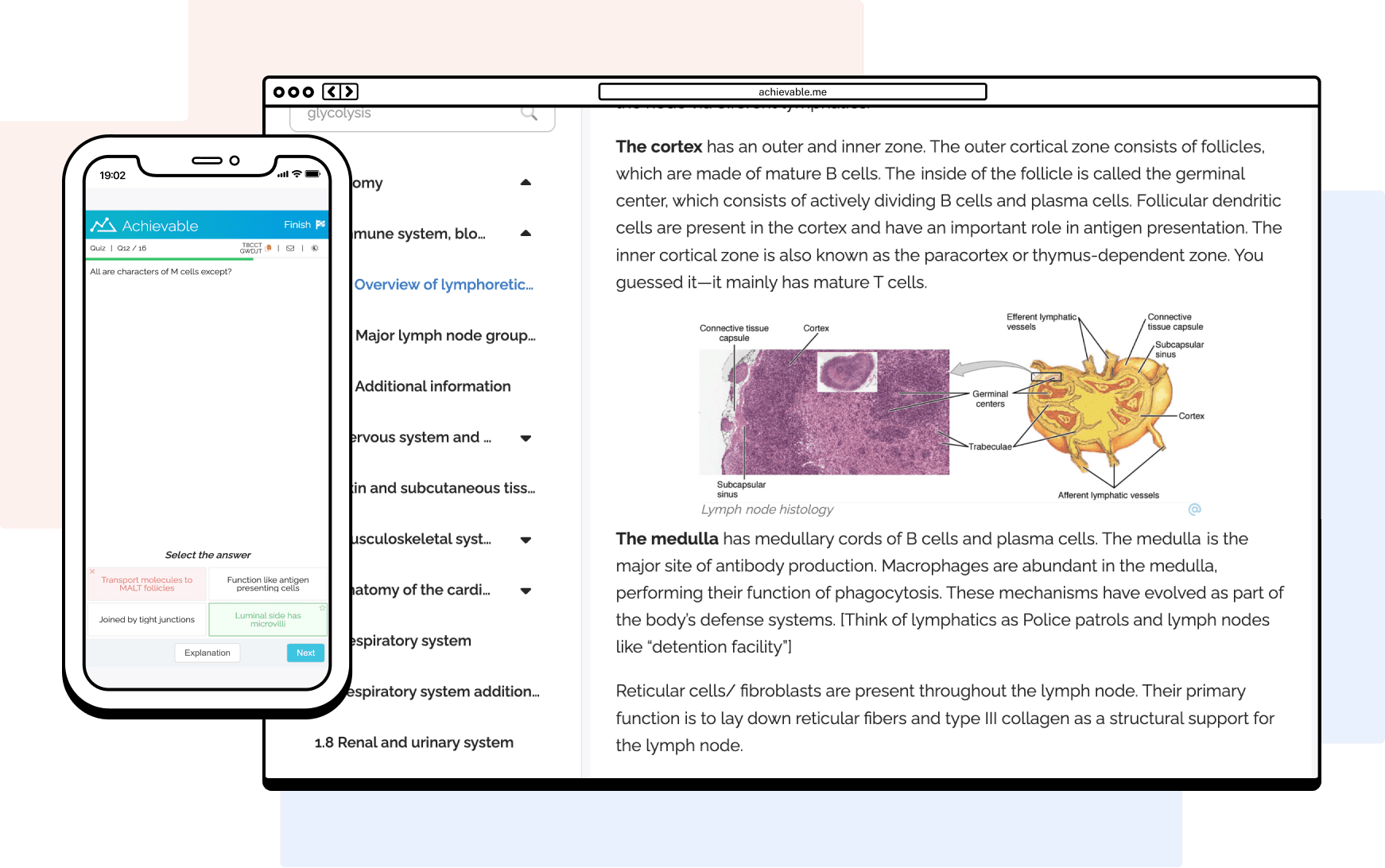 Achievable USMLE/1 dashboard